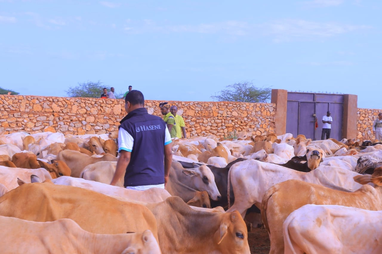 Qurban images Image 12